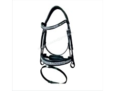 Leather Bridle 